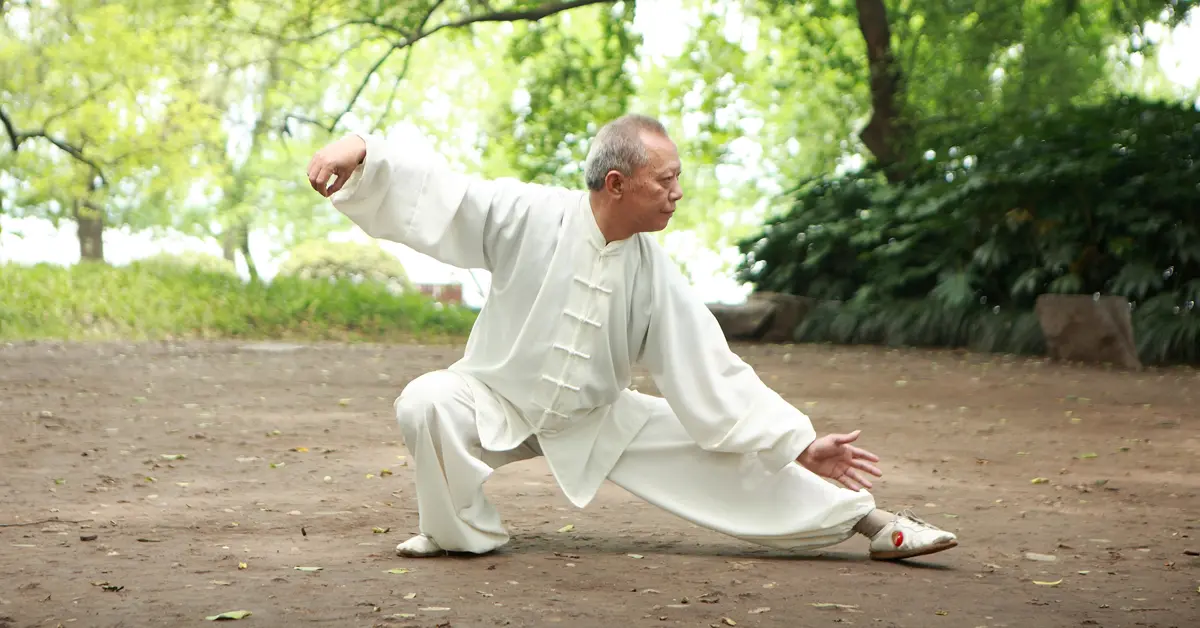 Exploring the Styles of Tai Chi: A Gateway to Balance, Harmony, and the I Ching